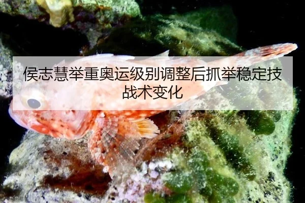 侯志慧举重奥运级别调整后抓举稳定技战术变化