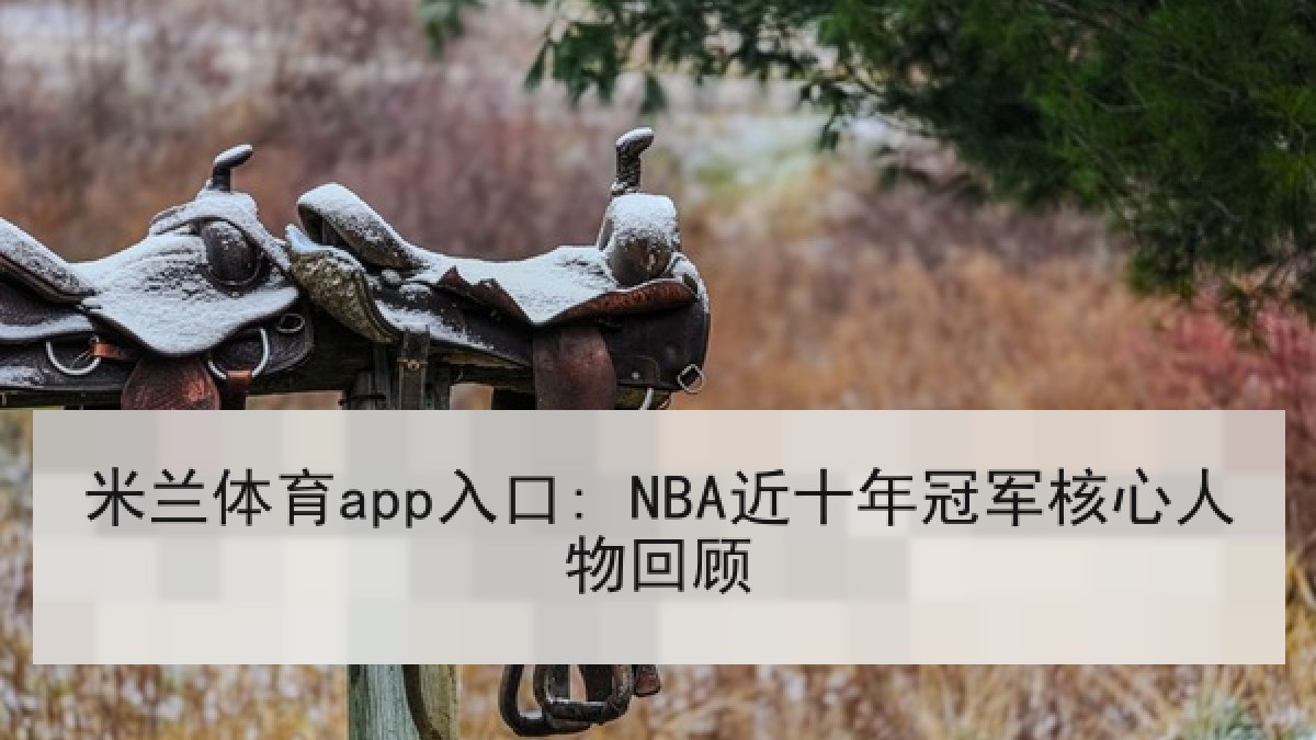 米兰体育app入口: NBA近十年冠军核心人物回顾
