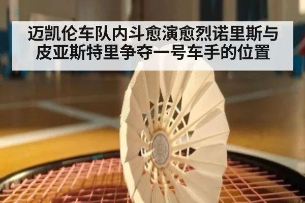 迈凯伦车队内斗愈演愈烈诺里斯与皮亚斯特里争夺一号车手的位置